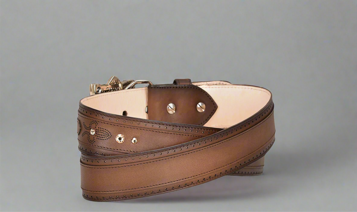 Cinto Res Sillero Over Castañ / LD Over Chestnut Laser & Crystals