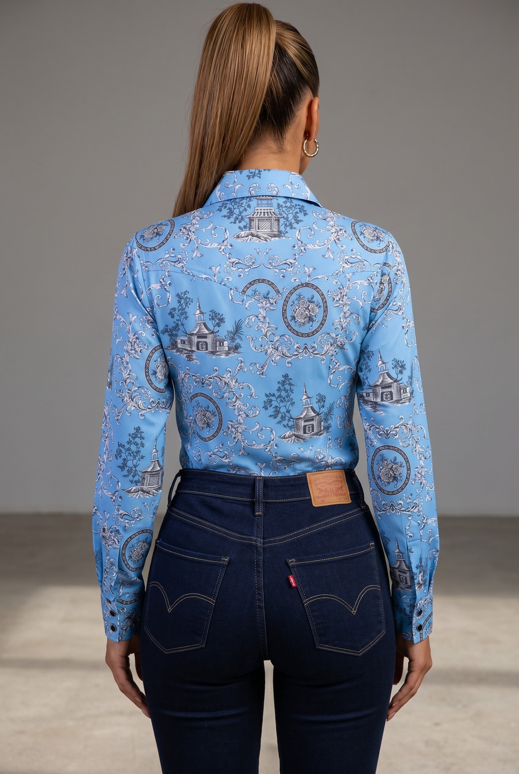 Toile Print Rodeo Western Shirt
